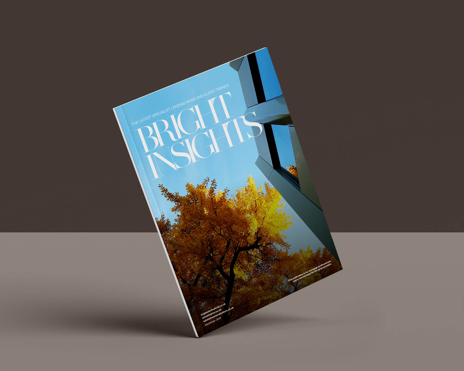 Bright Insights, September 2025