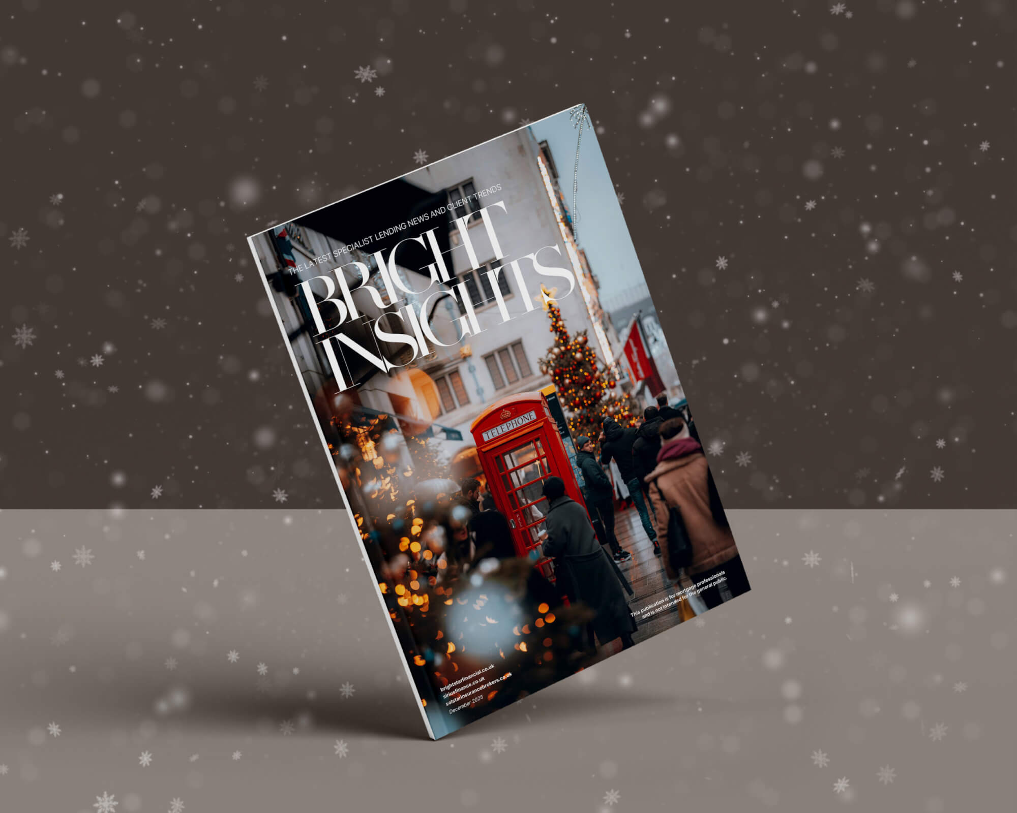 Bright Insights, December 2025